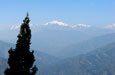 Darjeeling, Kalimpong and Lava Tour